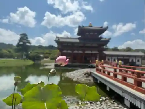 平等院(京都府)