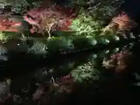 東寺(教王護国寺)の庭園