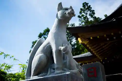 多田朝日森稲荷神社の狛犬