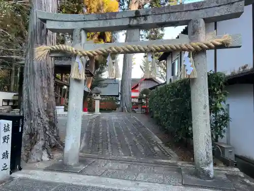 住吉大伴神社の鳥居