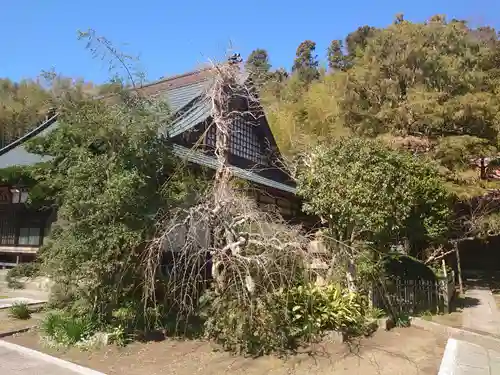 大龍寺の本殿・本堂
