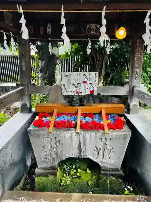 鳩ヶ谷氷川神社の{uncategorized: "未分類", other: "その他", undefined: "問題あり", building: "その他建物", grave: "お墓", sacred_gate: "鳥居", guardian: "狛犬", statue: "像", buddha: "仏像", history: "歴史", nature: "自然", garden: "庭園", animal: "動物", pagoda: "塔", temizu: "手水舎", mountain_gate: "山門・神門", sanctuary: "本殿・本堂", subordinate: "末社・摂社", art: "芸術", scenery: "景色", jizo: "地蔵", ema: "絵馬", goshuin: "御朱印", omikuji: "おみくじ", items: "授与品その他", amulet: "お守り", goshuincho: "御朱印帳", eats: "食事", festival: "お祭り", votive_dance: "神楽", shichigosan: "七五三参", wedding: "結婚式", experience: "体験その他", initially: "初詣", around: "周辺", anti_infection: "感染症対策"}