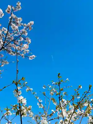 福井神社(福井県)