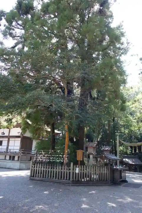 大神神社の自然