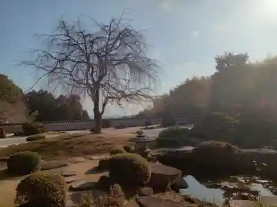 正法寺(京都府)
