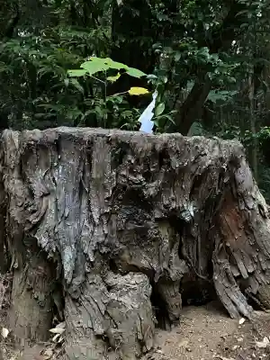 鹿島神宮(茨城県)