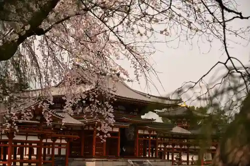 平等院(京都府)