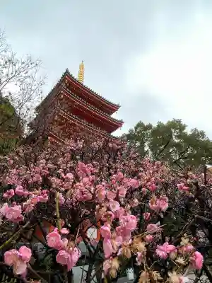 東長寺(福岡県)
