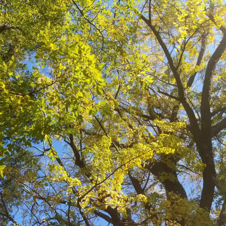 春日神社の自然