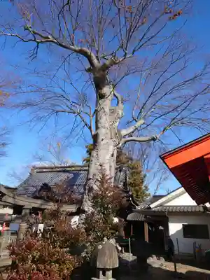 科野大宮社(長野県)