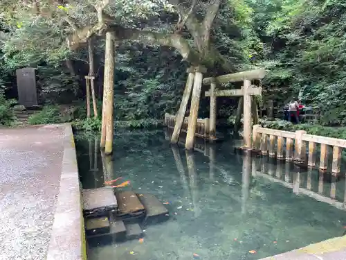 鹿島神宮(茨城県)