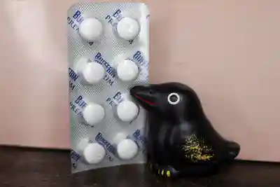 くまくま神社(導きの社 熊野町熊野神社)(東京都)