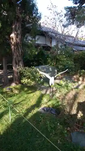 萬松山 龍台院(愛知県)