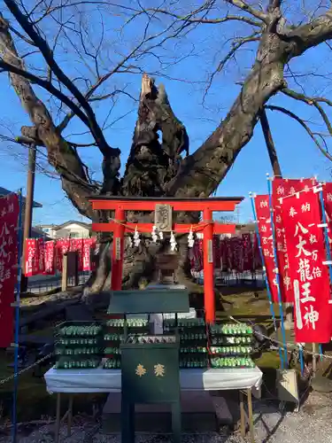 秩父今宮神社(埼玉県)