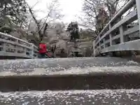 飛驒護國神社(岐阜県)