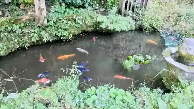 定光院(滋賀県)