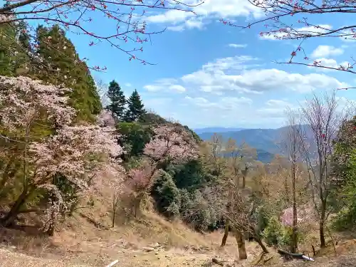 正法寺の景色