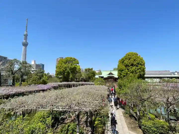 亀戸天神社(東京都)
