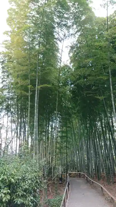高台寺(高台寿聖禅寺・高臺寺)(京都府)