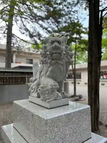 新琴似神社の狛犬