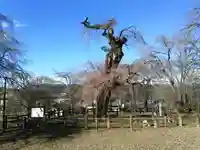 清雲寺の自然
