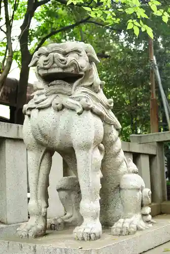 渋谷氷川神社の狛犬