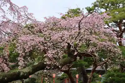 開成山大神宮の自然