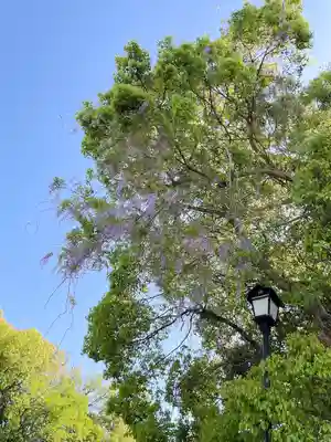 大神神社(奈良県)