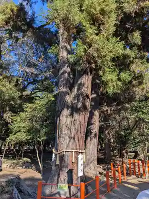 息栖神社(茨城県)