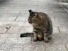 王子神社の動物