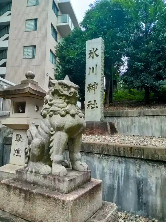 白金氷川神社の狛犬