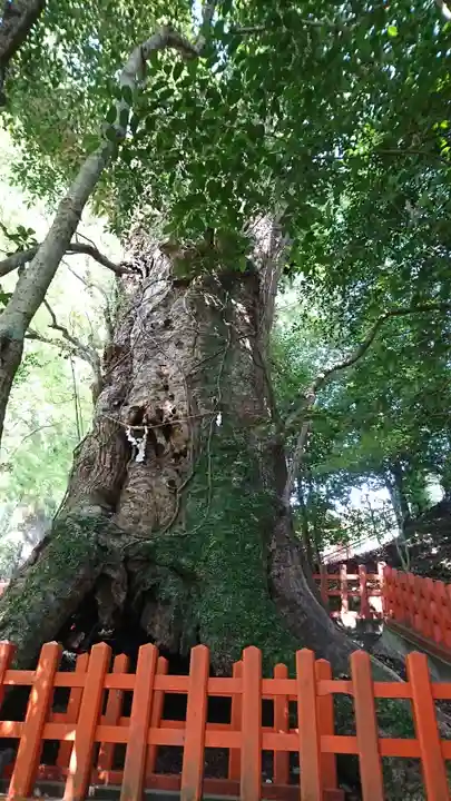 新田神社のその他建物
