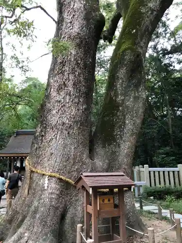 伊弉諾神宮の自然