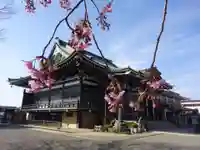 宗仲寺の本殿・本堂