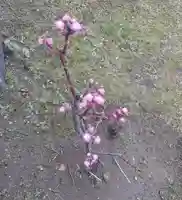 刺田比古神社(和歌山県)
