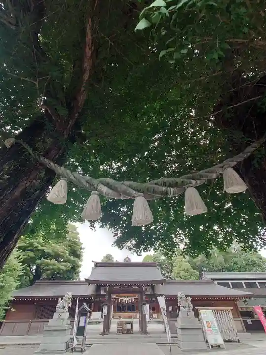 亀ケ池八幡宮(神奈川県)
