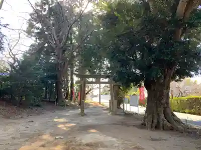 大蛇摩賀多神社(千葉県)