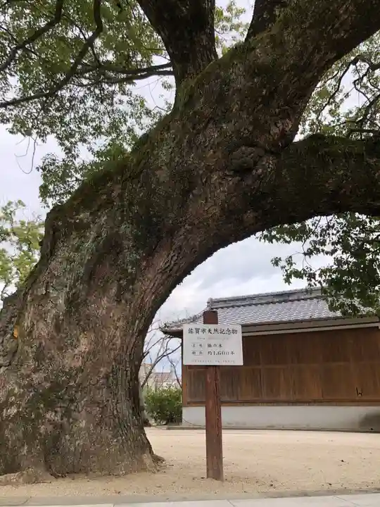 新北神社の自然