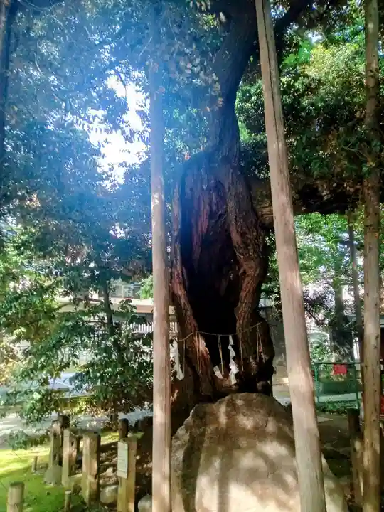 金王八幡宮(東京都)