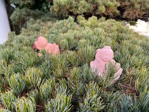 円照寺(兵庫県)