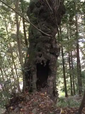 御嶽神社(神奈川県)