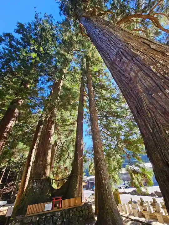 室生龍穴神社(奈良県)