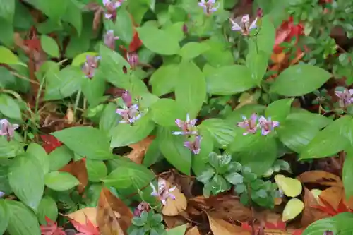 豊景神社の庭園