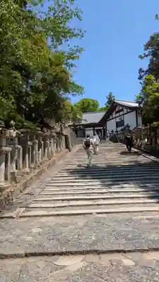 東大寺 二月堂(奈良県)