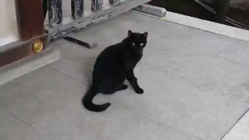 牛天神北野神社の動物