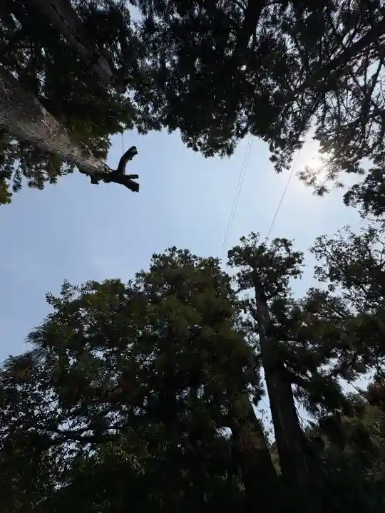 大神神社の{uncategorized: "未分類", other: "その他", undefined: "問題あり", building: "その他建物", grave: "お墓", sacred_gate: "鳥居", guardian: "狛犬", statue: "像", buddha: "仏像", history: "歴史", nature: "自然", garden: "庭園", animal: "動物", pagoda: "塔", temizu: "手水舎", mountain_gate: "山門・神門", sanctuary: "本殿・本堂", subordinate: "末社・摂社", art: "芸術", scenery: "景色", jizo: "地蔵", ema: "絵馬", goshuin: "御朱印", omikuji: "おみくじ", items: "授与品その他", amulet: "お守り", goshuincho: "御朱印帳", eats: "食事", festival: "お祭り", votive_dance: "神楽", shichigosan: "七五三参", wedding: "結婚式", experience: "体験その他", initially: "初詣", around: "周辺", anti_infection: "感染症対策"}