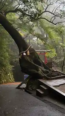 笠森寺(千葉県)