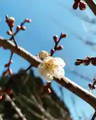 信濃比叡廣拯院の自然