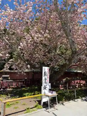 志波彦神社・鹽竈神社(宮城県)
