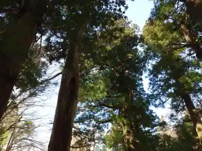 大神山神社奥宮(鳥取県)